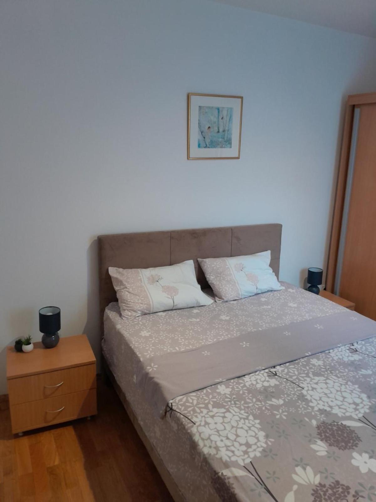 Apartman Klara Petrovac Bagian luar foto